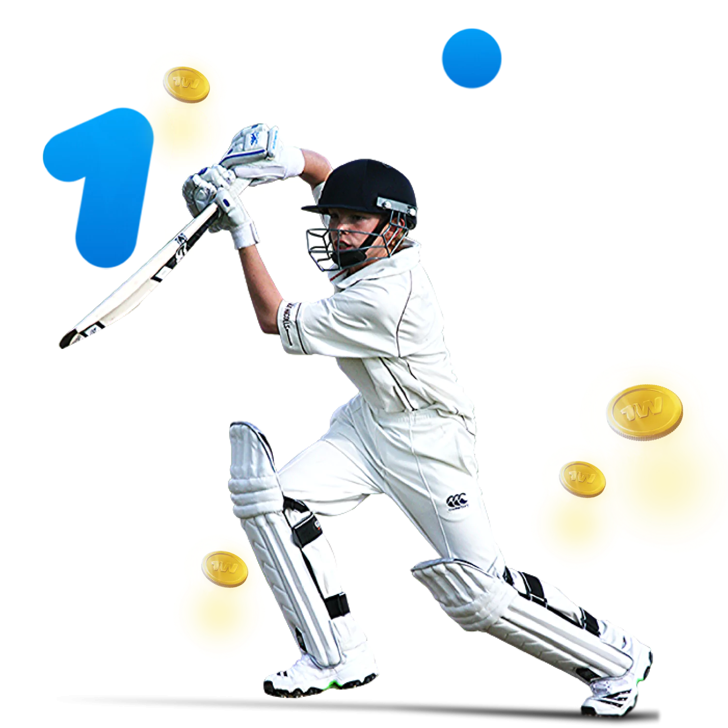 At WOWBet you can always bet on cricket.