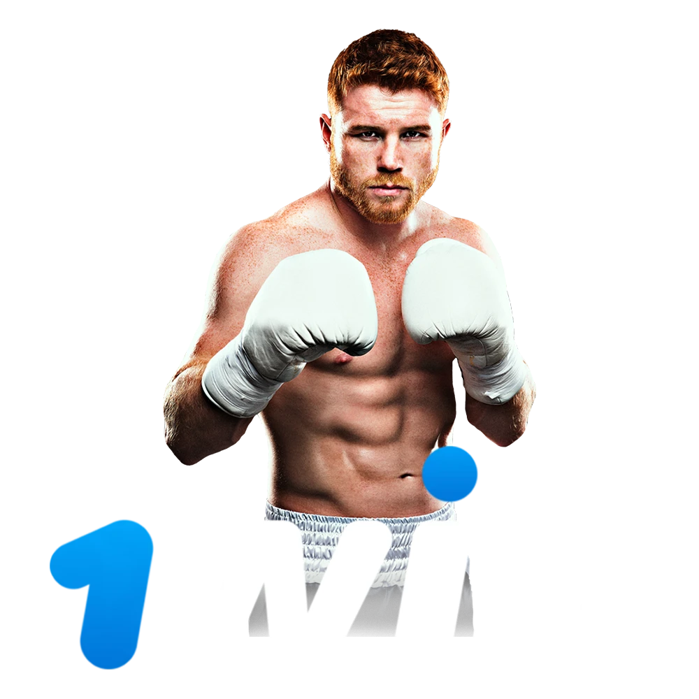 Find out more information about WowBet's main bookmaker partner.